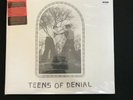 CAR SEAT HEADREST TEENS OF DENIAL 2XLP VINYL In Shrink - NEAR MINT