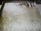 Bon Iver - For Emma, Forever Ago - LP Vinyl  /// Neu & OVP