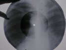 Beatles - Strawberry Fields Forever  X-RAY USSR ROENTGEN Bones Record