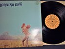 MORNING DEW AT LAST ORIG LP 1970 ROULETTE GARAGE PSYCH MONSTER SR 42049