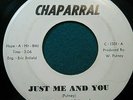 1968   CHIMES OF FREEDOM   Pretend   Chaparral C-1301   RARE ILLINOIS PSYCH 45
