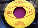 Hear Rare Alabama Garage Psych Fuzz 45 : Wild Vybrashons   A Place In The Sun
