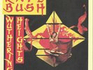 KATE BUSH - WUTHERING HEIGHTS / KITE 1978 UK 7