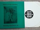 Fields Of The Nephilim Burning The Fields Ep Ltd white 12