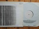 The Raincoats Moving Lp Test pressing white label Promo post Punk