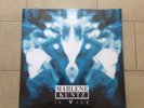Marlene Kuntz Il Vile VINILE BLU AUTOGRAFATO e NUMERATO Vinile Lp Vinyl
