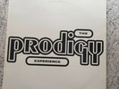 The Prodigy ?– Experience (2x12