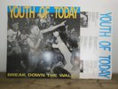 Youth Of Today - Break Down The Walls Revelation Rec. 1988 Vinyl LP Hardcore