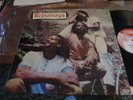 THE VICEROYS - Brethren And Sistren - Lp 1st UK press 1983  Misty In Roots