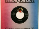 Sammy Salvo  RCA 7516  Wolf Boy b/w My Perfect Love  Late 50's Rockabilly