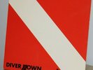 1982  Van Halen Diver Down lp vinyl (NM)