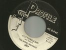 ROCKABILLY SURF INSTRO bw VOCAL-NIGHT RAIDERS - COTTONPICKIN - HEAR -PROFILE