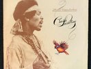 JIMI HENDRIX Crash Landing Album LP 1975 Reprise MS 2204 EX+/NM- Vinyl