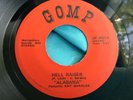 Hear Rare Alabama Crossover Sweet Soul 45 : Ray Quarles   If I Didn't Love You