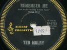 TED MULRY*REMEMBER ME*SITAR PSYCH MASTERPIECE