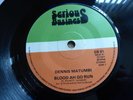 Dennis Matumbi ?– Blood Ah Go Run   7