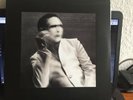 vinyl lp. Marilyn Manson.   The Pale Emperor 2x Vinyl