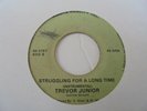 TREVOR JUNIOR Struggling For A Long Time ROOTS REALITY Roots Reggae 7