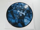 MACHINE HEAD - Days Turn Blue To Gray / Picture Disc Vinyl Single