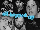 NRBQ - All Hopped Up [VINYL]