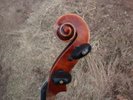 Exceptional 4/4 Pro Level  Italian label Ready to Play