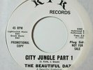 garage psych 45 The Beautiful Daze - City Jungle RPR listen
