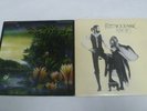 FLEETWOOD MAC - RUMOURS & TANGO IN THE NIGHT - TWO VINYL LP RECORDS - EXCELLENT