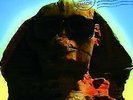 Kiss - Hot In The Shade (Ltd.Back To Black) LP (2014) original verpackt - Neu