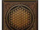 Bring Me The Horizon ?– Sempiternal YELLOW Vinyl LP Newbury Comics Limited OOP