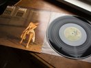 CARLY SIMON Boys In The Trees DIRECT DISK LABS Audiophile ED1 super disk