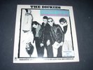 The DICKIES 10