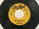 CHARLES MINTZ - SINCE I FOUND YOU GIRL - RARE NORTHERN SOUL DANCER