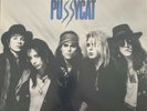 Faster Pussycat  Faster Pussycat  1987 Vinyl [9607301] Rock  Elektra Ex Con