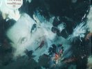 The cure disintegration vinyl