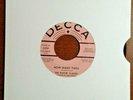 The ROVIN' FLAMES - How Many Times / Love Song #6 GARAGE PUNK DECCA PROMO 45 VG