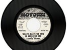 CONNIE HAINES  