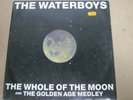 Vinyl Record 12” THE WATERBOYS THE WHOLE OF THE MOON (41)