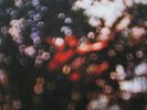 Pink Floyd ?Obscured By Clouds Vinyl LP Australia Early 1972 Reissue Record