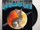 Osso performs Sufjan Stevens: Run Rabbit Run VINYL LP Record NEW