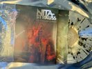 NITA STRAUSS AUTOGRAPHED CONTROLLED CHAOS  (CLEAR / BLACK) (LP VINYL)