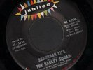 (Hear) 1968 Racket Squad Psych M- 45 (Suburban Life b/w The Loser)