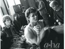 RSD 2019: A-HA Hunting High And Low / The Early Alternate Mixes (ltd LP)