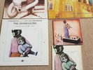 The Chameleons Vinyl Bundle