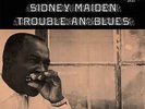 Sidney Maiden - Trouble An Blues - 180g LP - Analogue Productions - APR 3011