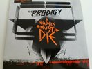The Prodigy - Invaders must die  (12