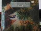 Pink Floyd Saucerful of Secrets LP MONO RSD Record Store Day 2019 NEW 180g