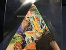 Modest Mouse Poison The Well Triangular Die Cut Single RSD 2019 Brand New Sealed