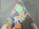 MODEST MOUSE POISON THE WELL TRIANGLE PICTURE DISC RECORD STORE DAY RSD 2019