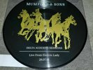 Mumford & Sons Delta Acoustic Sessions  2019  Vinyl 10inch Pic Disc  Sealed