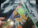 2019 RSD Modest Mouse Poison The Well - Limited Triangle Mint Green Vinyl